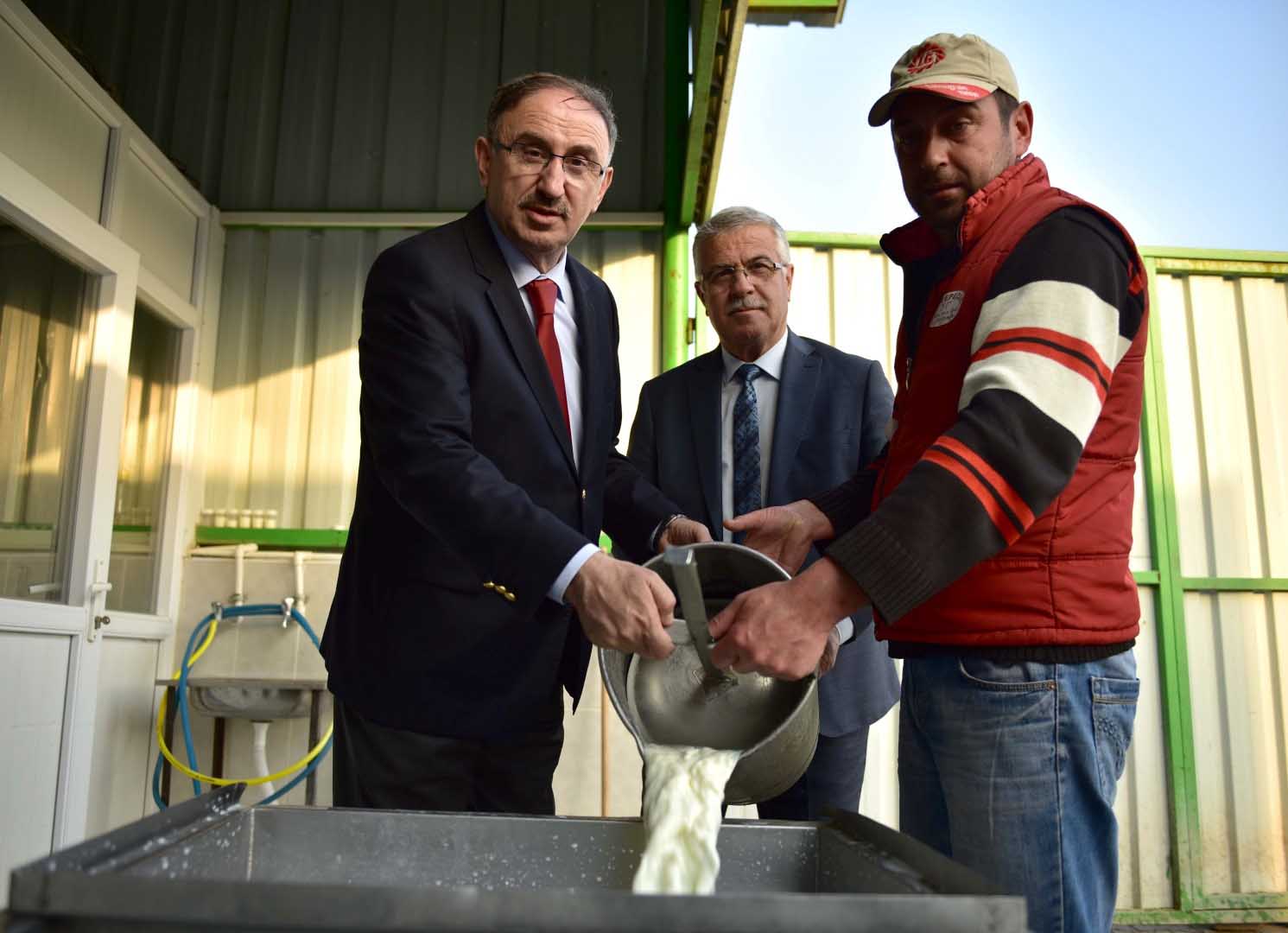 Süt üreticilerine 450 bin TL’lik destek